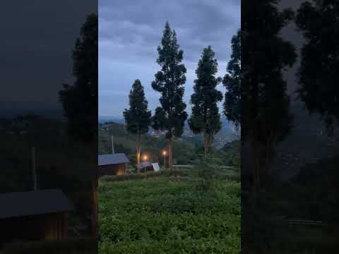 View subuh di bobocabin dieng