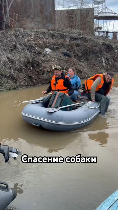 Спасение собаки в Оренбурге #Оренбург #орск #дамба #наводнение - YouTube