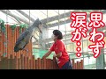 必見!【閉園物語】大好きな飼育員さんとハシビロコウふたばちゃんの閉園までのノーカット13分! 健気すぎる姿に涙…【夏のふたば2021】Summer Futaba 2021-27 FUTABA-CHAN