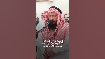 تلاوة هادئة#القرآن_الكريم #تلاوة_خاشعة #تلاوة_هادئة