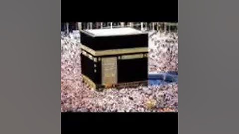 القارء معاذ الكعبي سورة الملك