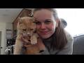 Making a Sandbox &amp; Cozy SUNday | vlog
