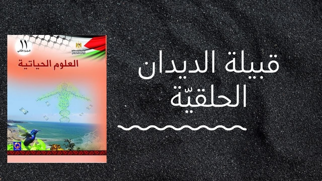 طور اليرقة من خصائص الديدان الحلقية