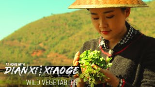 Dianxi Xiaoge Teaches Us How to Forage for Wild Greens (At Home With DXXG  E5)