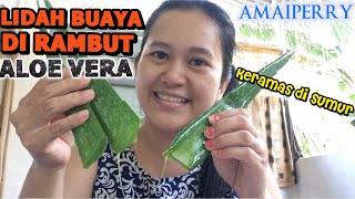 MASKER RAMBUT SEHAT PAKAI LIDAH BUAYA/ ALOE VERA/ AMAIPERRY