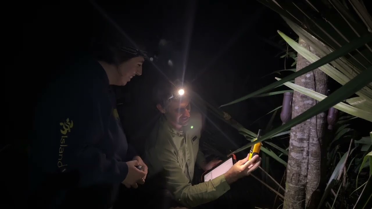 From some recent Night Walks!