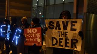 Ann Arbor protesters spell out 'Save The Deer' in lights outside city hall
