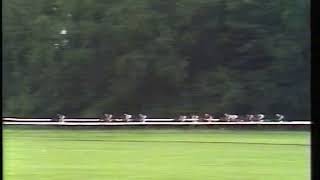 1980 Benson & Hedges Gold Cup Master Willie