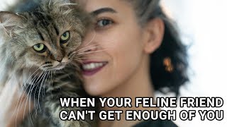 When Your Feline Friend Can't Get Enough of You