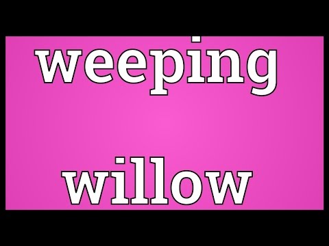 Weeping Willow Meaning