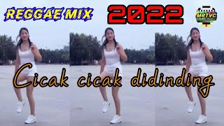 Video thumbnail of "Lagu reggae Mix" CICAK2 DIDINDNG "  mp3."