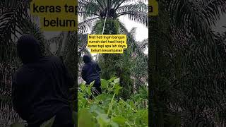 Download Lagu belum tercapai niat hati #shorts #viral #shortvideo #bangrsph MP3 Download Lagu belum tercapai niat hati #shorts #viral #shortvideo #bangrsph MP3