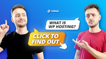 What is WordPress Hosting: [the One-Stop Guide]