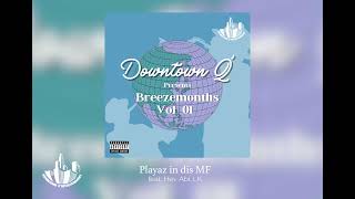 Downtown Q' - Playaz in dis MF feat. Hev Abi, LK