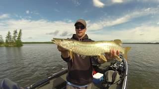 2017 Eagle Lake Musky Compilation