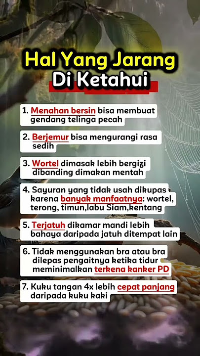 hal #dakwah #katakatabijakalibinabuthalib #islacamotesvibes
