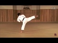 2.3 Shotokan Kata Nijushiho