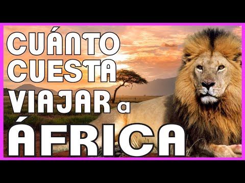 Video: ¿Cuánto cuesta un contrato antenupcial en Sudáfrica?