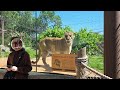 I went to the zoo :3