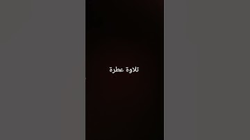 تلاوة عطرة #القرآن_الكريم #راحة_نفسية #صلوا_على_النبي #تلاوة_خاشعة