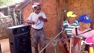 Download Lagu Forrozão da mulesta MP3