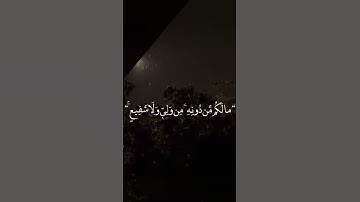 قرآن كريم | سورة الكافرون | القارئ عبد الباسط عبد الصمد 📿✨