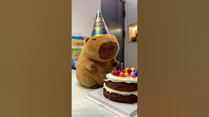 Happy Birthday~🍰 Part2 #cute #capybara #funnyanimals #healing #happybirthday
