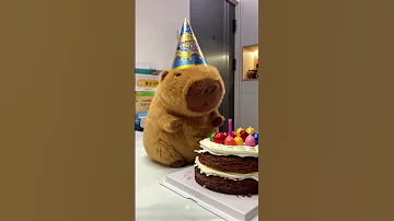 Happy Birthday Part2 Cute Capybara Funnyanimals Healing Happybirthday 