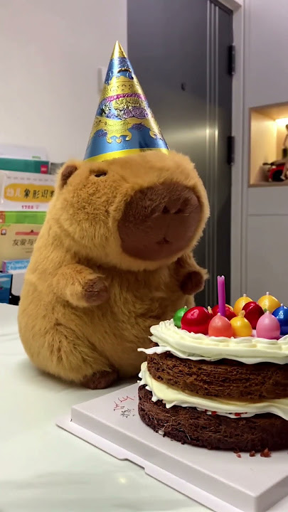 Happy Birthday~🍰 Part2 #cute #capybara #funnyanimals #healing #happybirthday