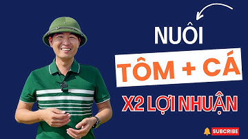 Bí quyết nuôi tôm kết hợp cá rô phi -Tăng lợi nhuận gấp đôi /Vũ đức Thiện