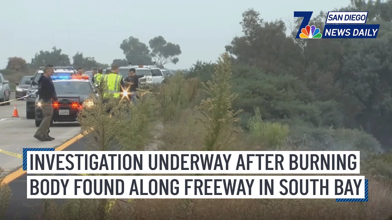 Investigation underway after burning body found along freeway in South ...