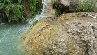 Nela Van Near Kalar Kahar1