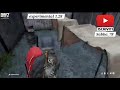 DayZ Official 🧟♂️ 1.28 Experimental Livonia day #5