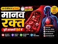 मानव रक्त: संरचना और कार्य | Everything About Human Blood in Hindi | NCERT science | Neet Biology 