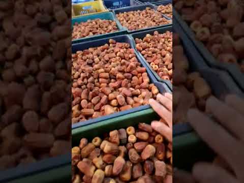 تعرف على أنواع التمور في واحة سيوة وأفضل طريقة للتخزين