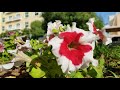The Beautiful Ritaj Community Dubai Investments Park 2 DIP 2 