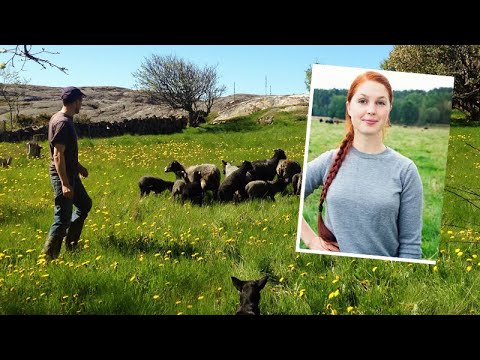 Video: Hur hjälpte jordbruksmarknadslagen bönder?