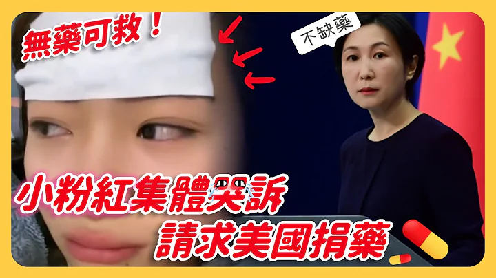 全中國發燒「無藥可救」小粉紅哭訴請求美國捐送退燒藥😭對岸外交部回應：與事實不符！中國不缺藥！也不需「藥」！ - 天天要聞