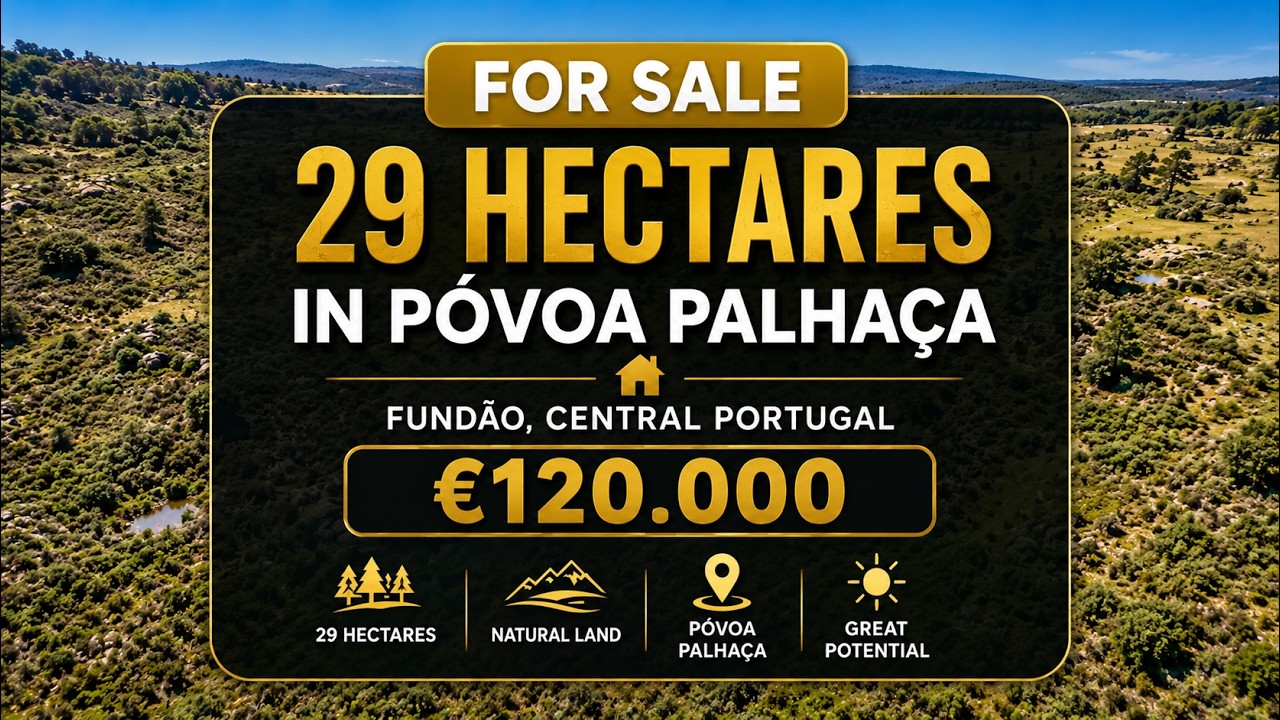 29 Hectare Rural Land in Central Portugal for €120,000 | Póvoa Palhaça