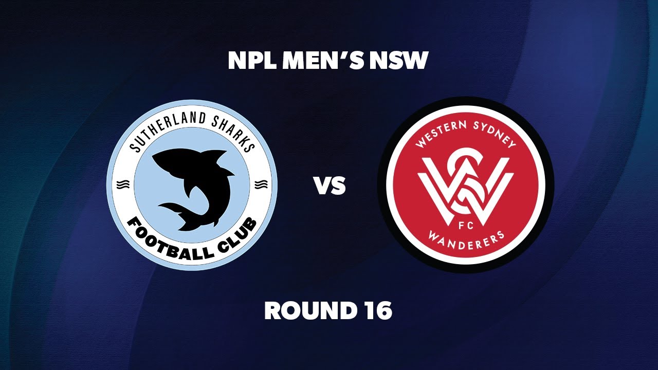 Nrl cronara sharks. Нвс спирит u20 сатерленд шаркс u20. Nrj пантера. Нвс спирит u20 сатерленд шаркс u20. Нвс спирит u20 сатерленд шаркс u20.