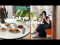 (Sub)일본vlogㅣ*・゚여름준비완료🍧 택배언박싱📦 (브랜디멜빌,자라,H&M,아이허브)