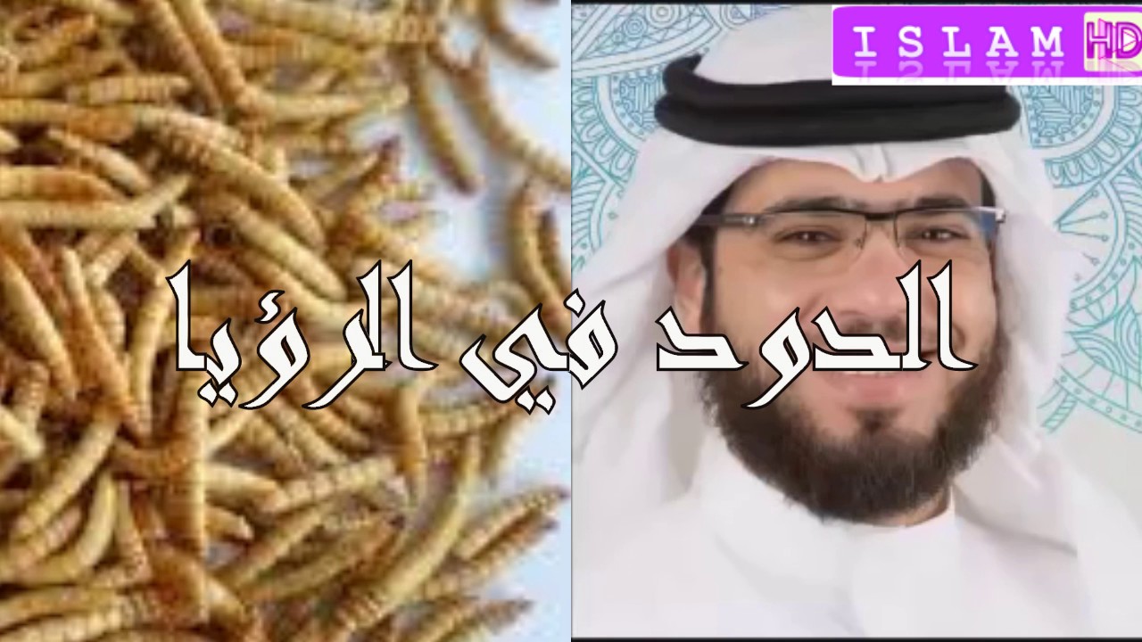 الدود في الرؤيا الشيخ وسيم يوسف تفسير الأحلام Youtube