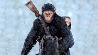 القرد سيزر بيحارب جيش كامل من البشر وبيقدر يهزمهم ويدمرهم بخطة عبقرية ملخص فيلم Planet of apes 3