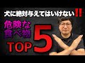 【犬が食べてはいけない食べ物ランキングTOP5】ペットショップ店長が思う、犬に危険な食べ物はコレ！