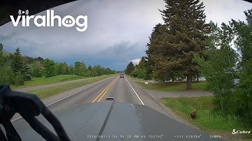 Ren Yogi! || ViralHog