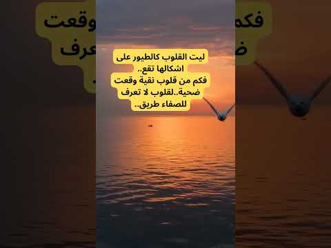 البحر لا بعيد ما ضاع فيه# القلوب💓 #الخدلان#علم_النفس 💞