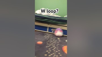 My first loop #lofi #beats #music #rnb #lofihiphop #cold #funny #helpmemakethismakesense #musichumor