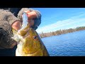 Swimbait fishing deep water smallmouth  early april bass fishing