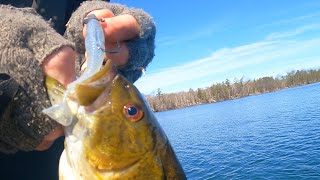 Swimbait Fishing Deep Water Smallmouth - Early April Bass Fishing!! by Todays Angler 2,747 views 3 weeks ago 11 minutes, 29 seconds