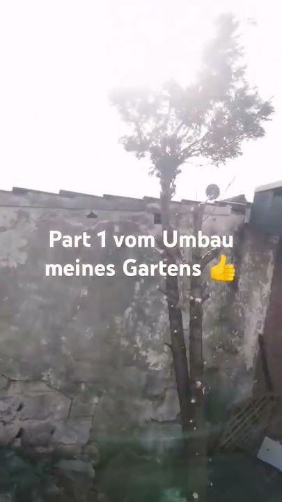 Part 1 vom Umbau meines Gartens 👍 YouTube